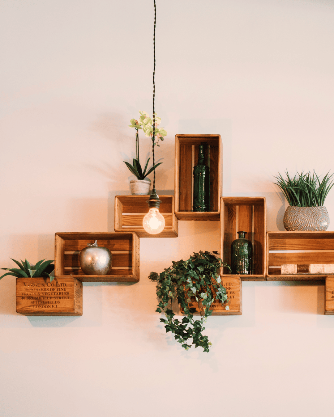 Shelves & Decor