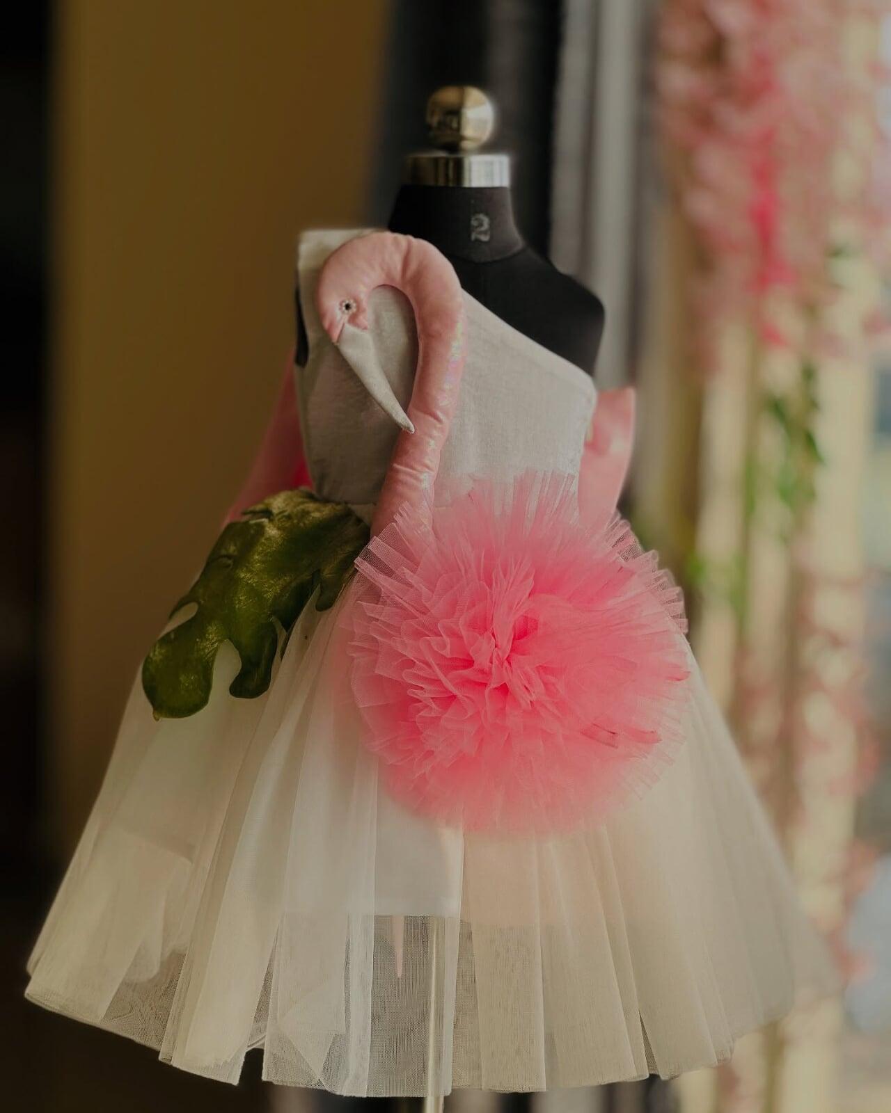 photoshoot dresses