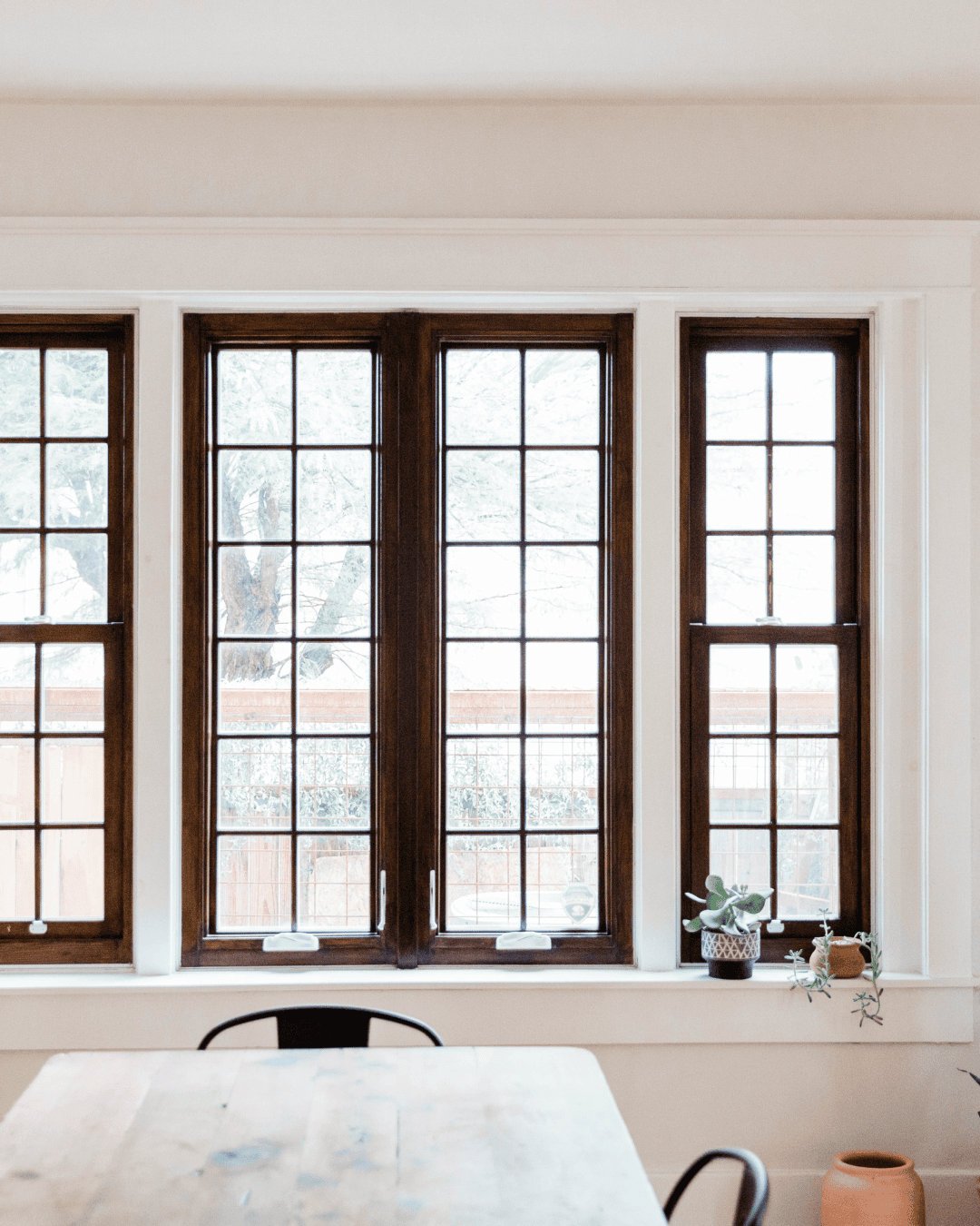 Window & Curtain