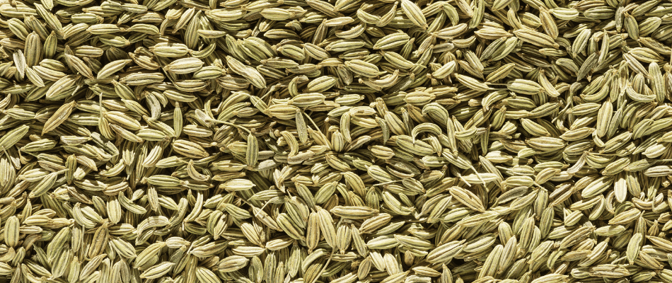 Find best quality Saunf (Fennel Seds) at good discounts at srklee.com