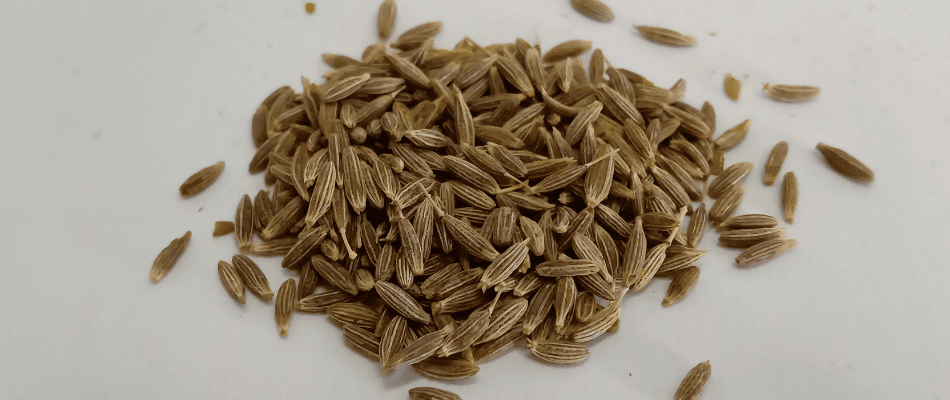 Get Best Quality Black Cumin Seeds only at srklee.com
