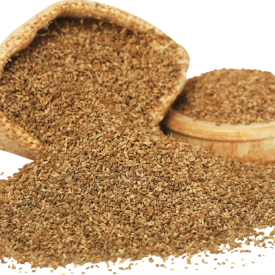 Best Quality Ajwain (Carom Seeds) in India at srklee.com