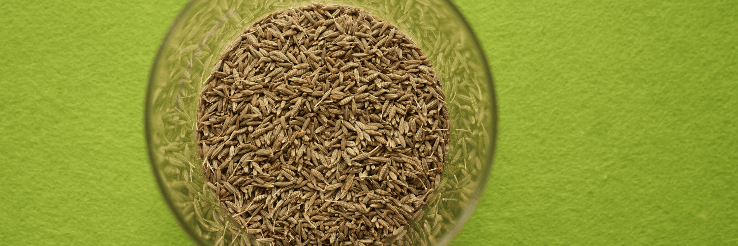 Cumin seeds for digestion, health benefits, and cooking