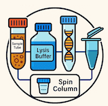 Mosquito DNA isolation kit, DNA isolation kit, RNA isolation kit, Protein Isolation kit, Molecular biology Reagents Mosquito DNA isolation kit, DNA isolation kit, RNA isolation kit, Protein Isolation kit, Molecular biology Reagents