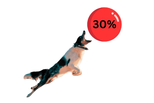 Flying Dog catching ball