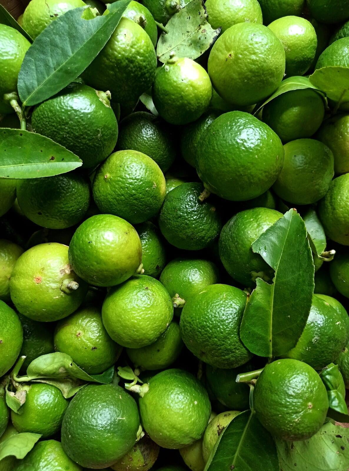 Farm Fresh