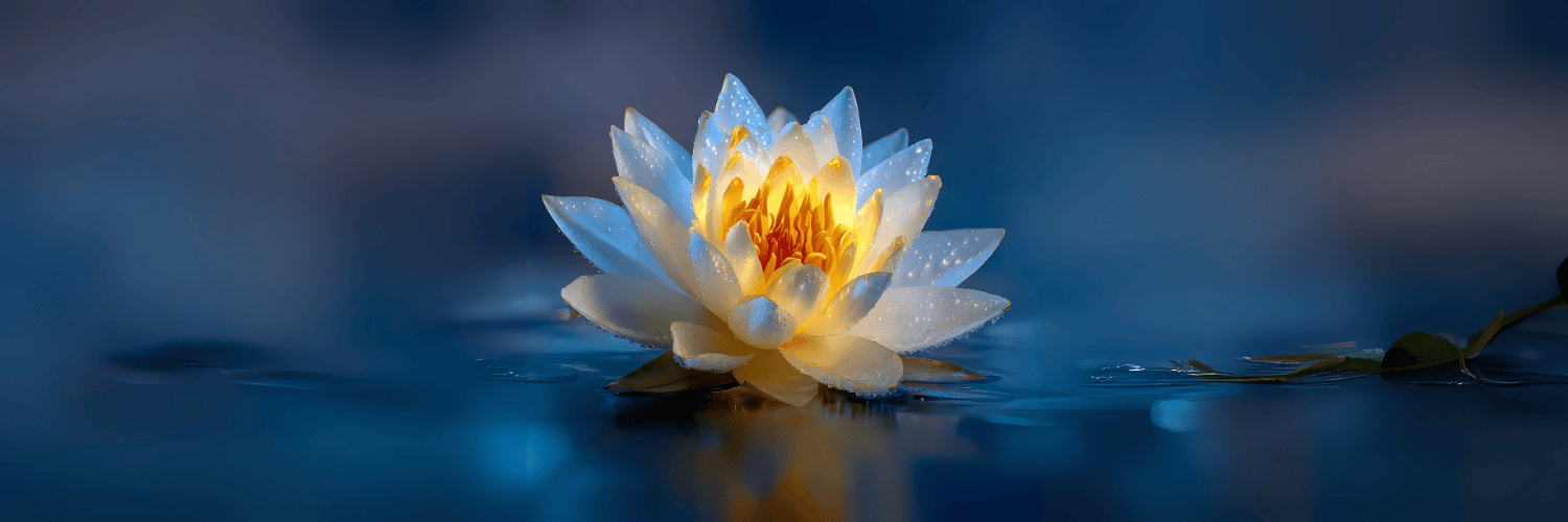 Astro-Numerology Growth Package – Personalized Astrology and Numerology Consultation for Personal and Financial Growth