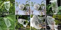 Insect rearing bags