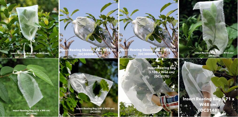 Insect rearing bags