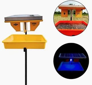 Loung Chairs Loung Chairs