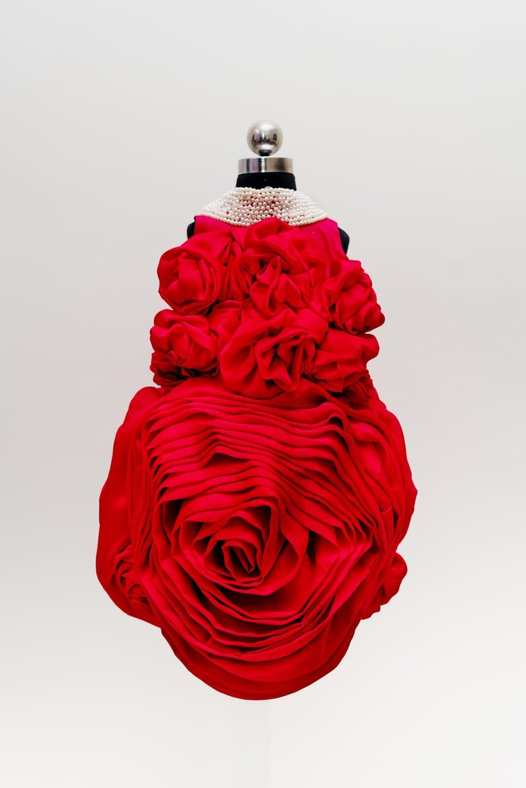 Red Princess Dress for Birthday Girl | Girls Dresses