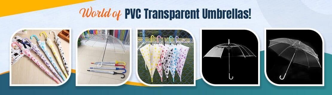 transparent umbrella shop near me 