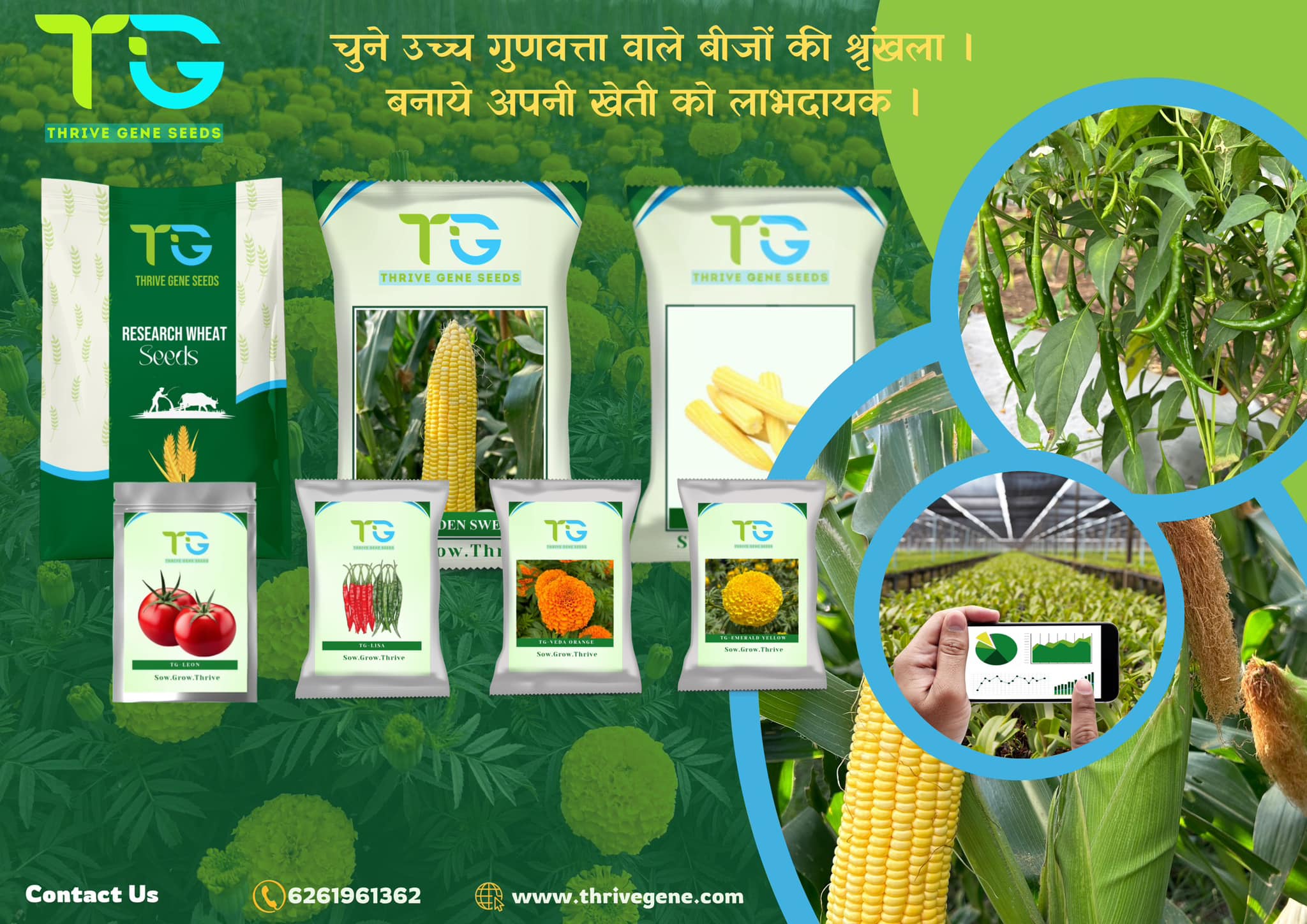 Vegetables Seeds