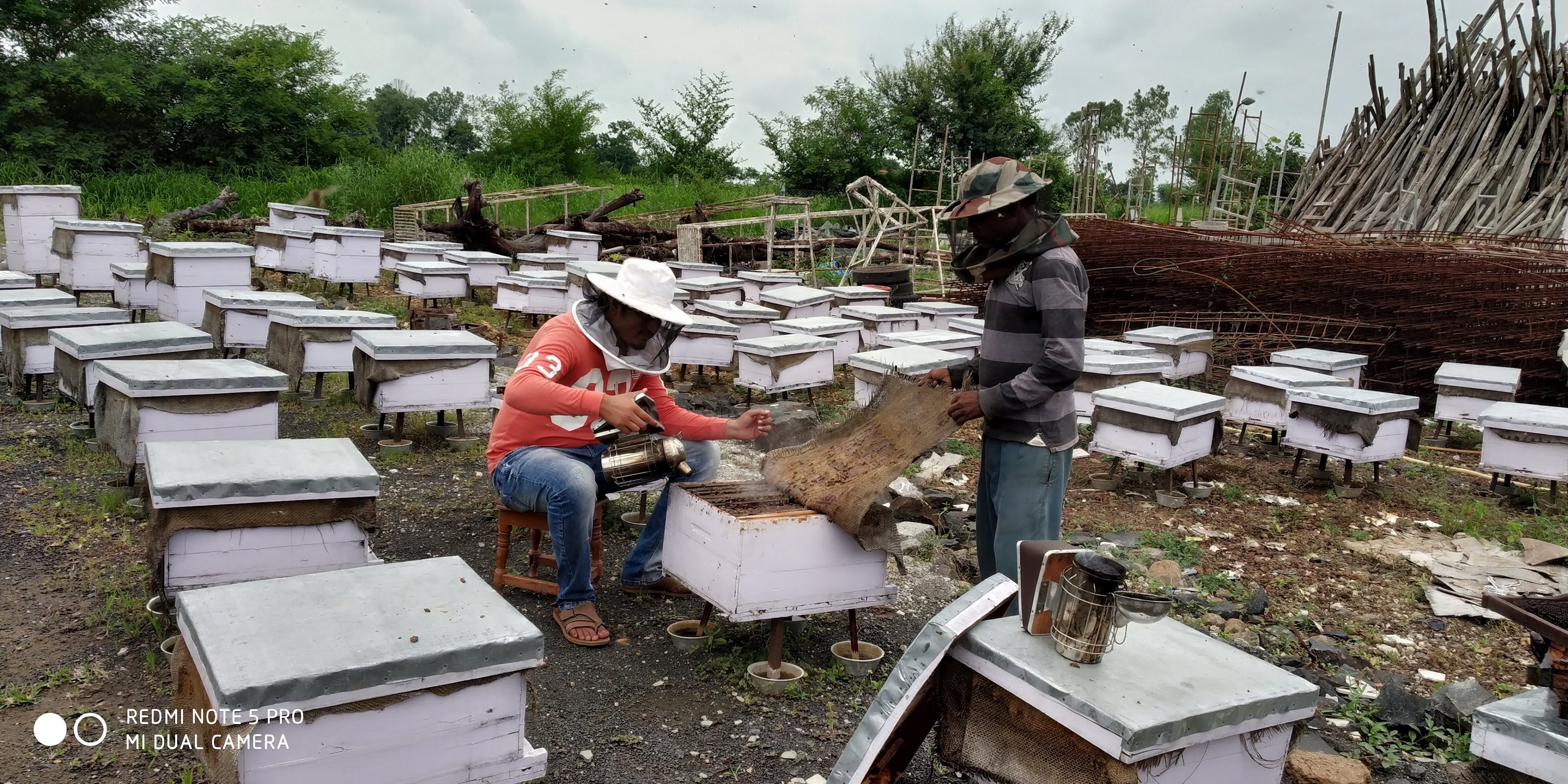 The Beekeeper Project