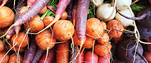 Best Quality Organic Roots & Rizhomes only at srklee.com Best Quality Organic Roots & Rizhomes only at srklee.com