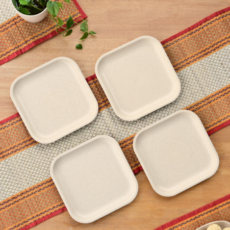 Sugarcane Square Plates
