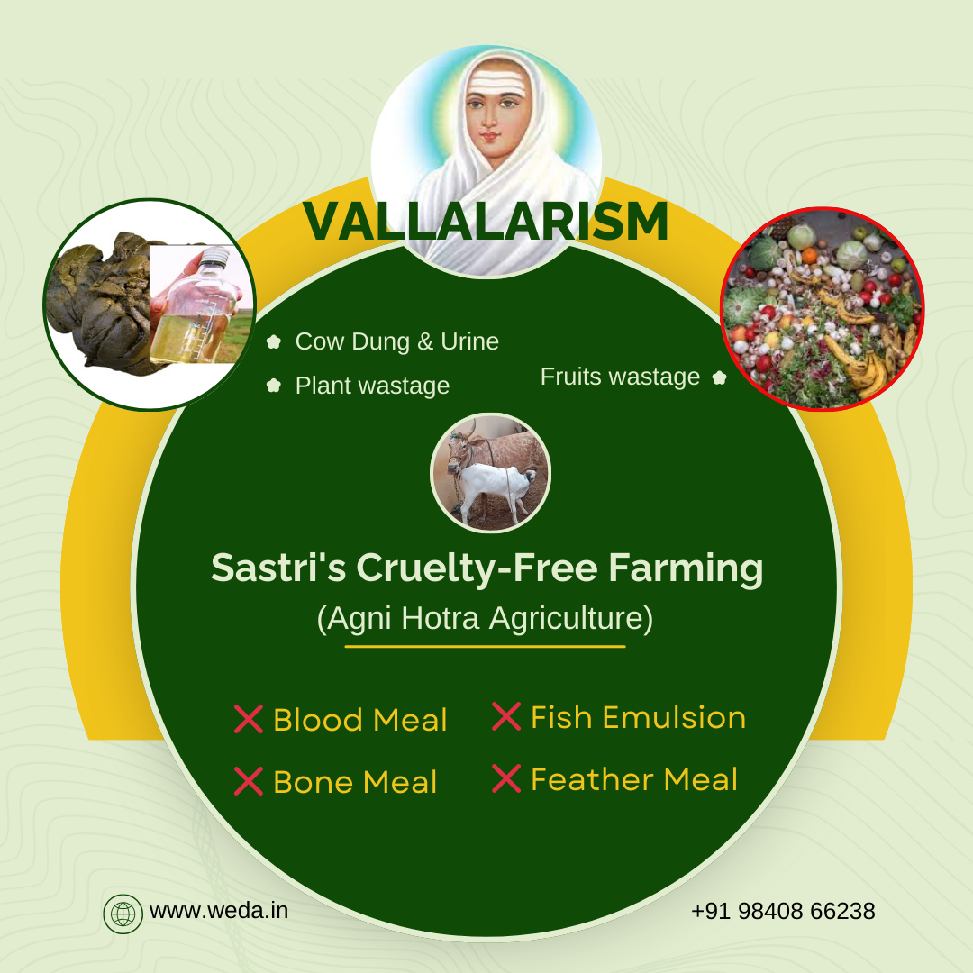 Sastri's Cruelty-free FARMING Sastri's Cruelty-free FARMING
