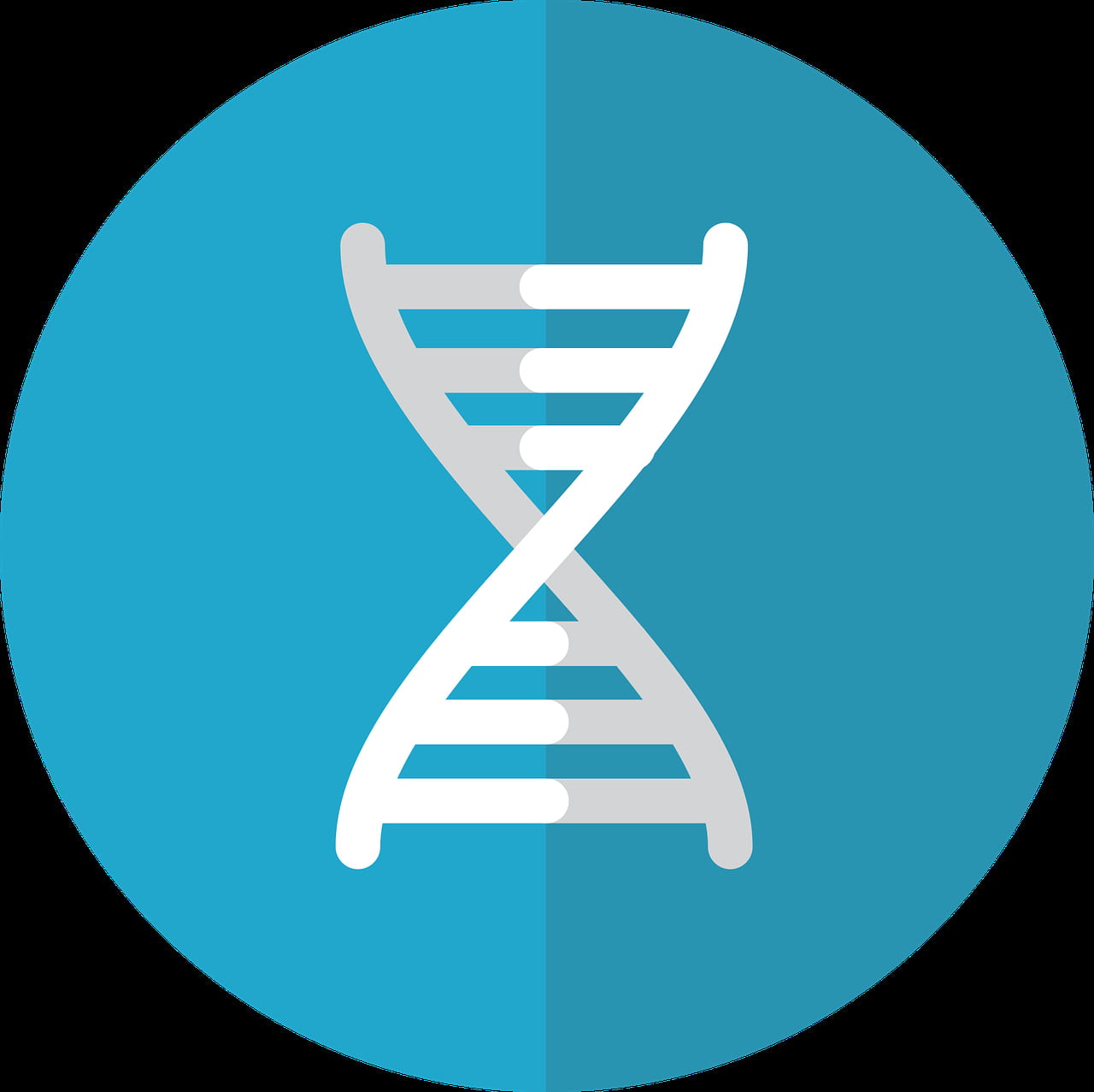 CODE X - The Genetic Testing for All