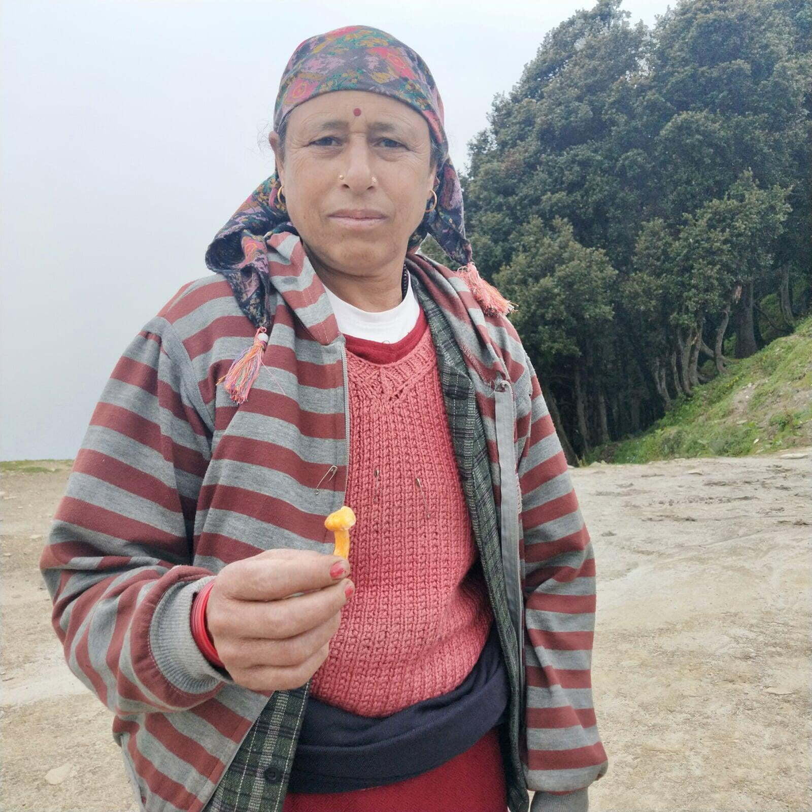 oure from land of Gods Himachal Pradesh