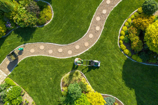 Top view of green landscaping with paths and trees – Homizon garden and landscape design services
