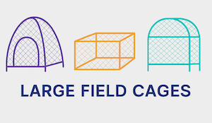 custom size insect cages