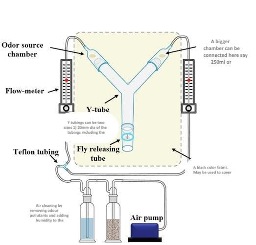 Insect olfactometer for research on insects and mosquitoes