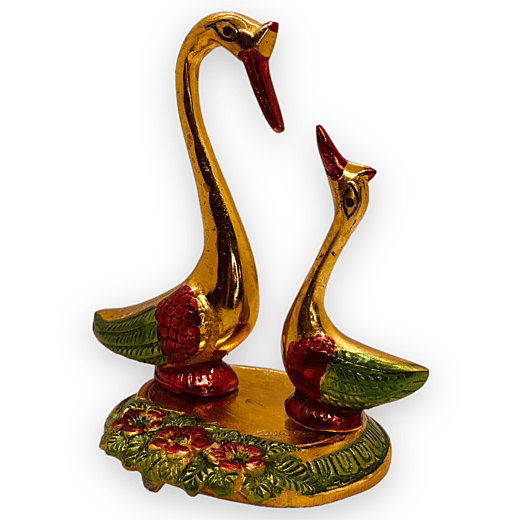 Colourful Couple Swan