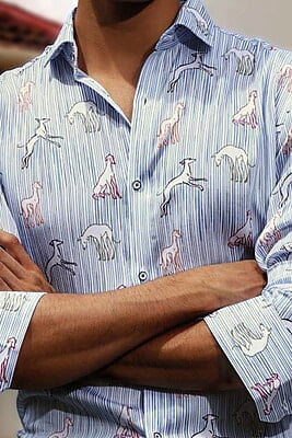 Tropical Dream Shirts