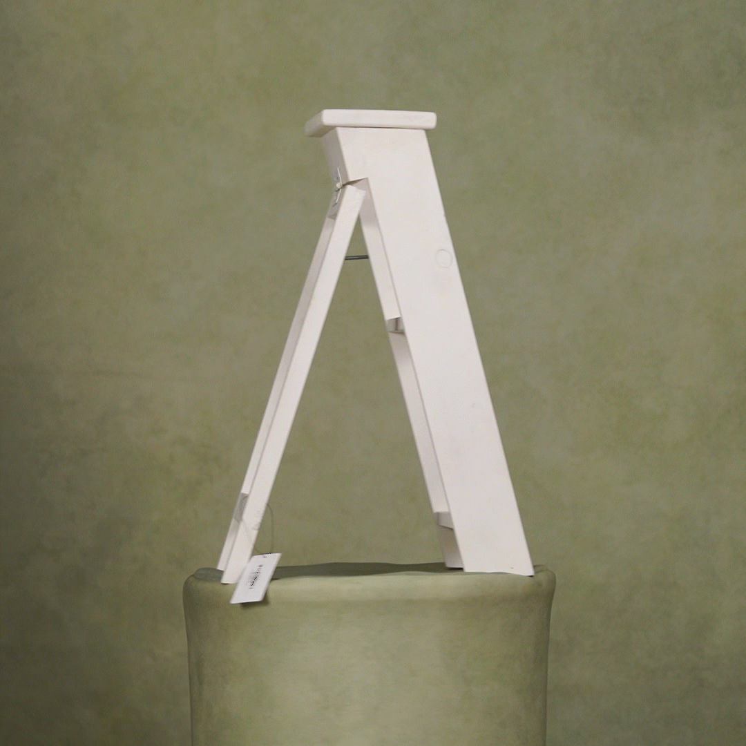Mini Ladder