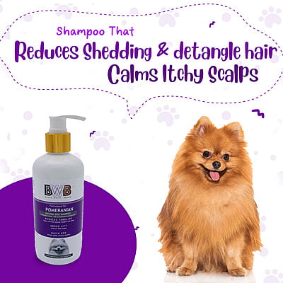 BWB POMERANIAN SHAMPOO