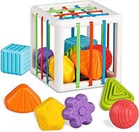 Shape Sorter Interactive Toy, Montessori Toys 6 in 1 Baby Sensory Toys for Kids Educational Learning