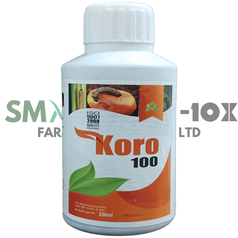 Koro 100