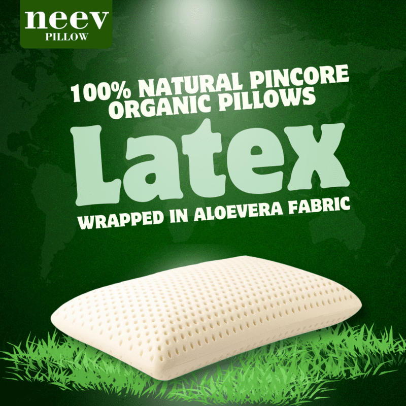 Neev Natural Organic Pincore Latex Pillow