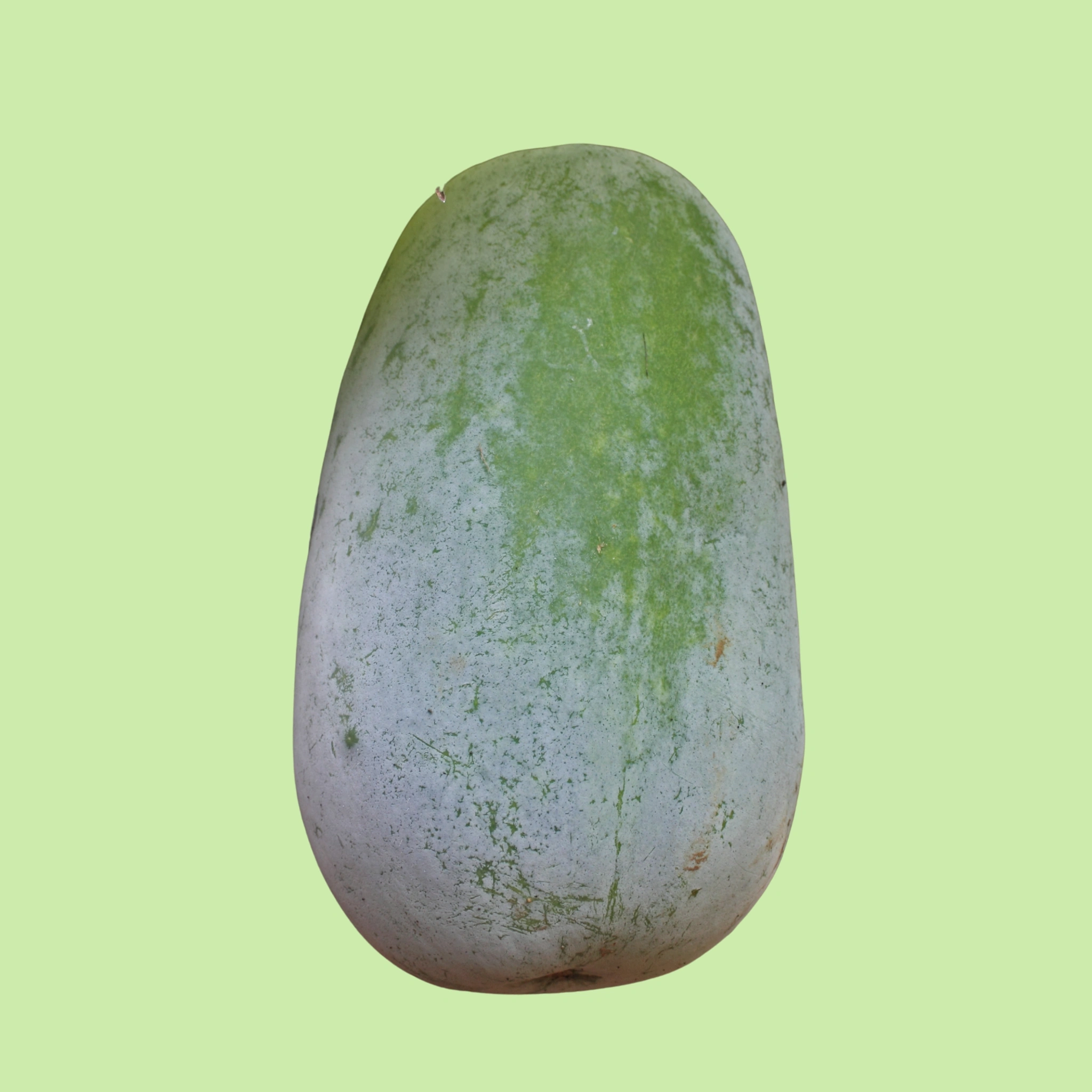 Gourd Ash - 500g
