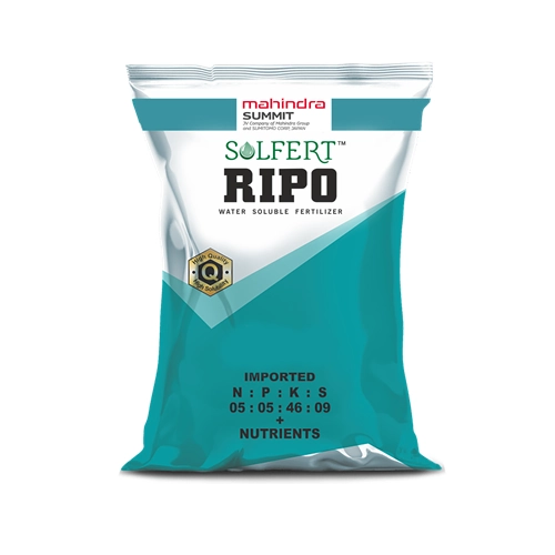 SOLFERT NPKS 5:5:46:9-25 KG