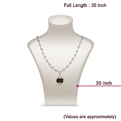Silver Tied Spatika Mala with Rudraksha Pendant Silver Tied Spatika Mala with Rudraksha Pendant