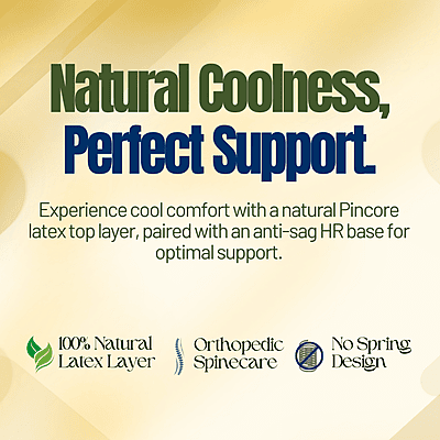 Neev 6 Inches Sleep 8+ Orthopedic, Posturecare Latex Mattress
