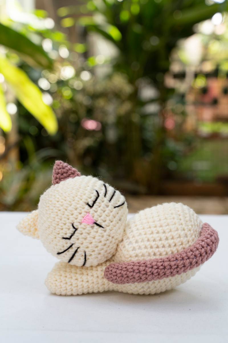 Sleepy Kitten Sleepy Kitten