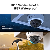 VIGI C250 VIGI 5MP Full-Color Dome Network Camera