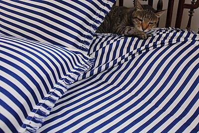 Stripes and Style Bed Cover Stripes and Style Bed Cover