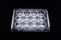 Insect Bioassay Trays 6, 12, 24 and 48 wells Insect Bioassay Trays 6, 12, 24 and 48 wells