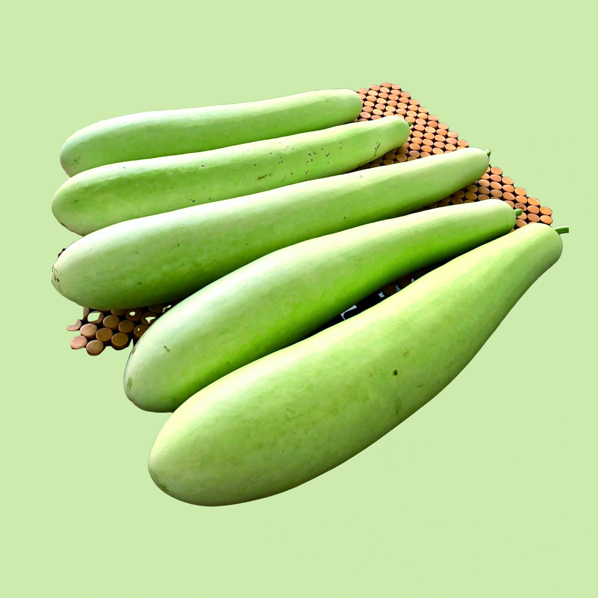 Gourd Bottle - 500g