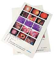 Inkjet Medical WHITE Film 8"X10"  DR/CR/MRI/CT Imaging Film 175 Micron / 240 gsm 100 SHEETS