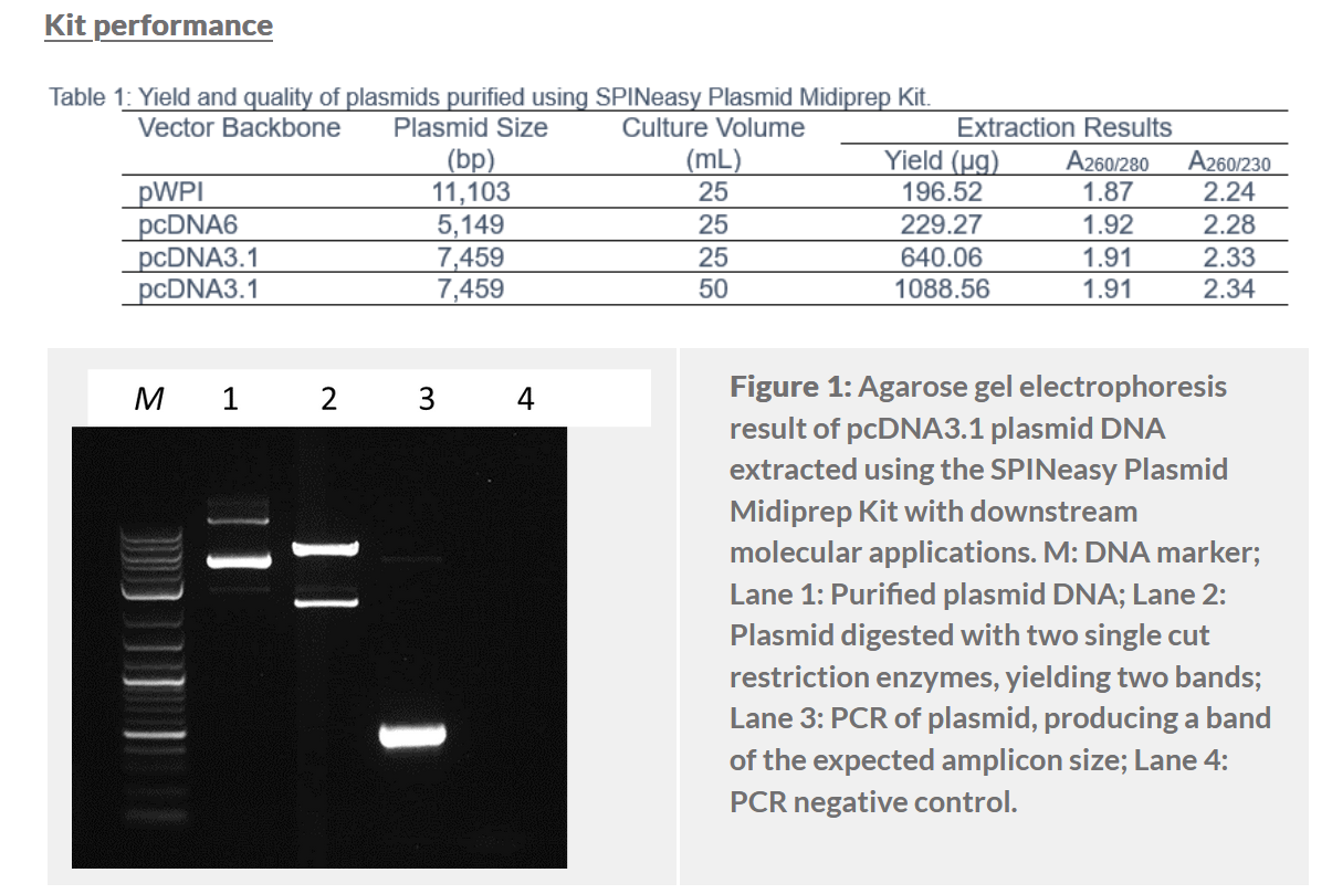 SPINeasy® Plasmid Midiprep Kit 25preps MP