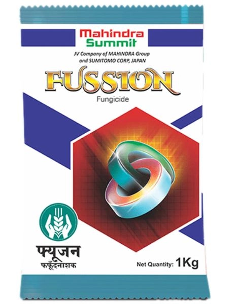 FUSSION 250 GM