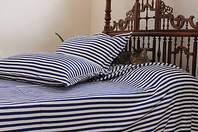 Stripes and Style Bed Cover Stripes and Style Bed Cover