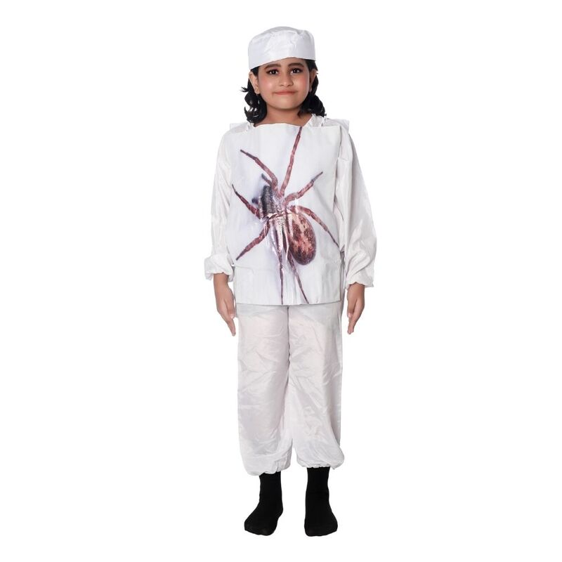 Spider Fancy Dress Costume Spider Fancy Dress Costume