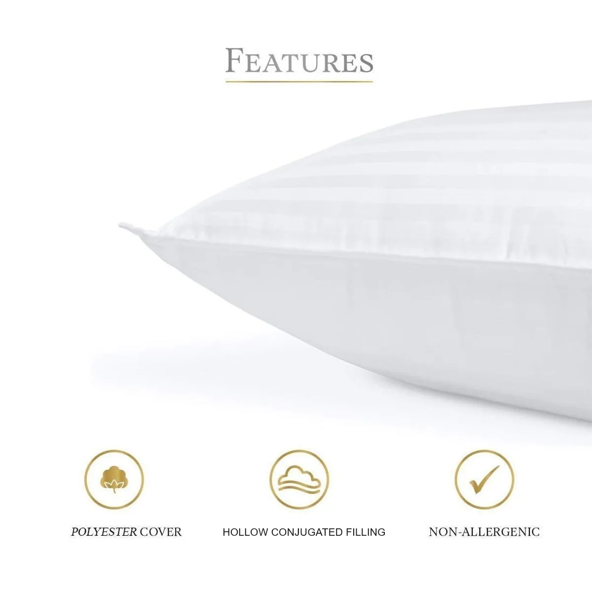 Sofrito Pillow - Hollow Conjugated (Regular) Sofrito Pillow - Hollow Conjugated (Regular)