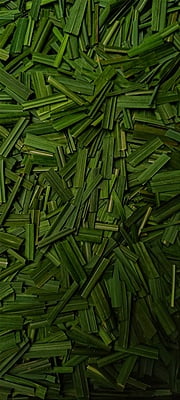 Dried Lemon Grass