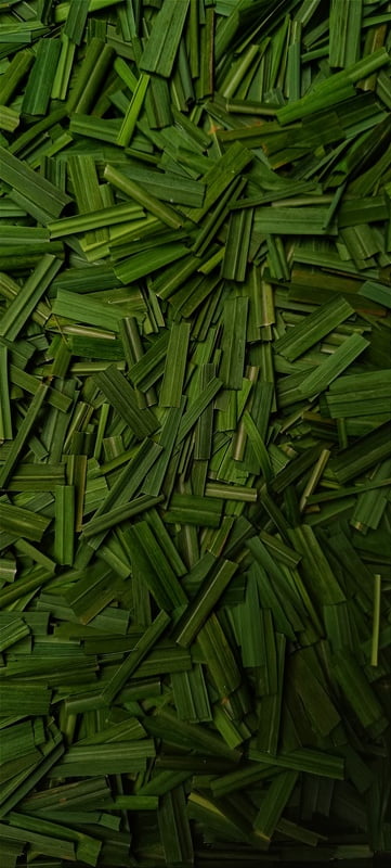 Dried Lemon Grass